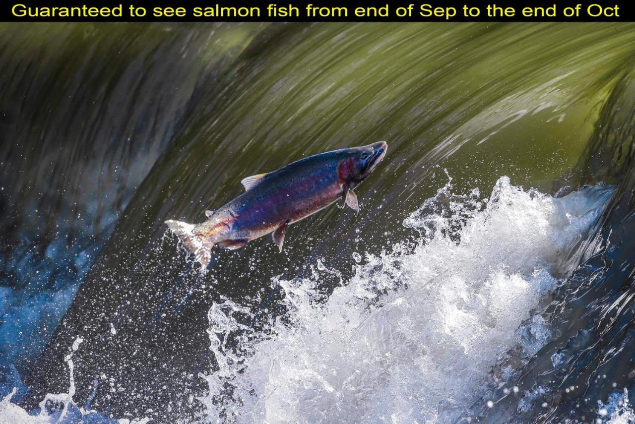 Salmon Magwood Guesthouse Τορόντο Εξωτερικό φωτογραφία